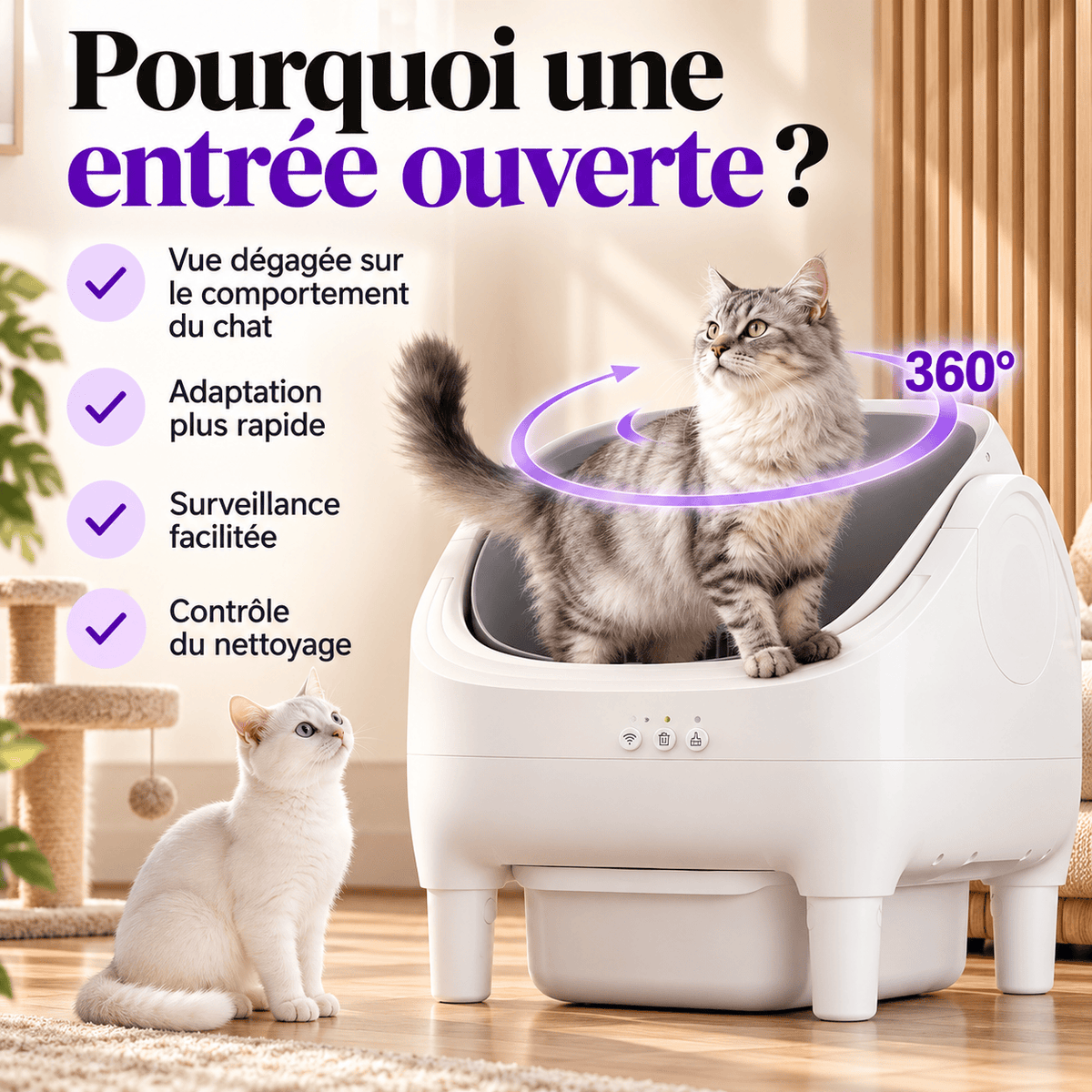 Bac à litière pour chat autonettoyant lavable Réglisse | Kokouning