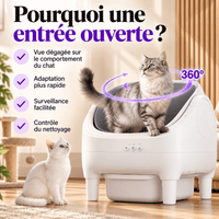 Bac à litière pour chat autonettoyant lavable Réglisse | Kokouning