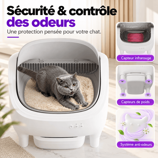 Bac à litière pour chat autonettoyant lavable – Réglisse