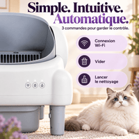 Litière automatique chat ouverte 76 L Biscotte | Kokouning