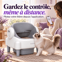 Litière automatique chat ouverte 76 L Biscotte | Kokouning