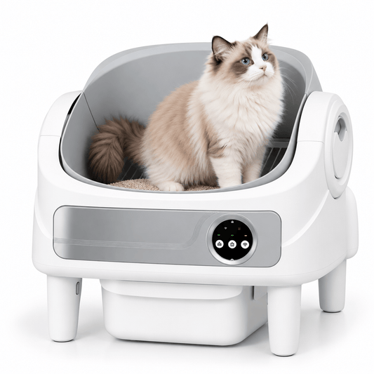 Litière automatique ouverte 75 L Mochi | Kokouning