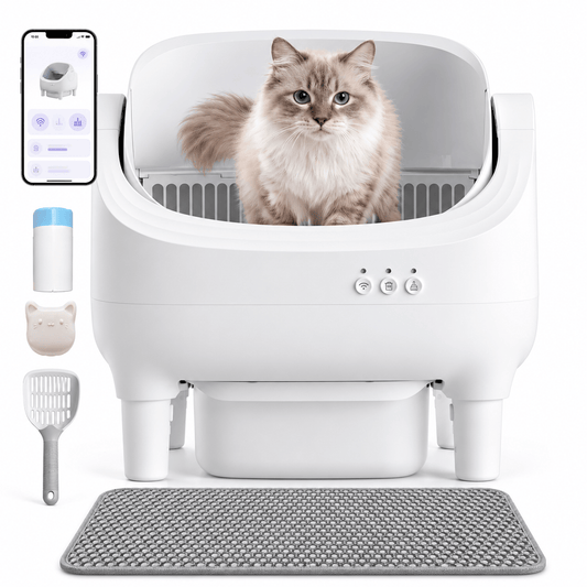 Litière autonettoyante pour chat compacte Noisette | Kokouning